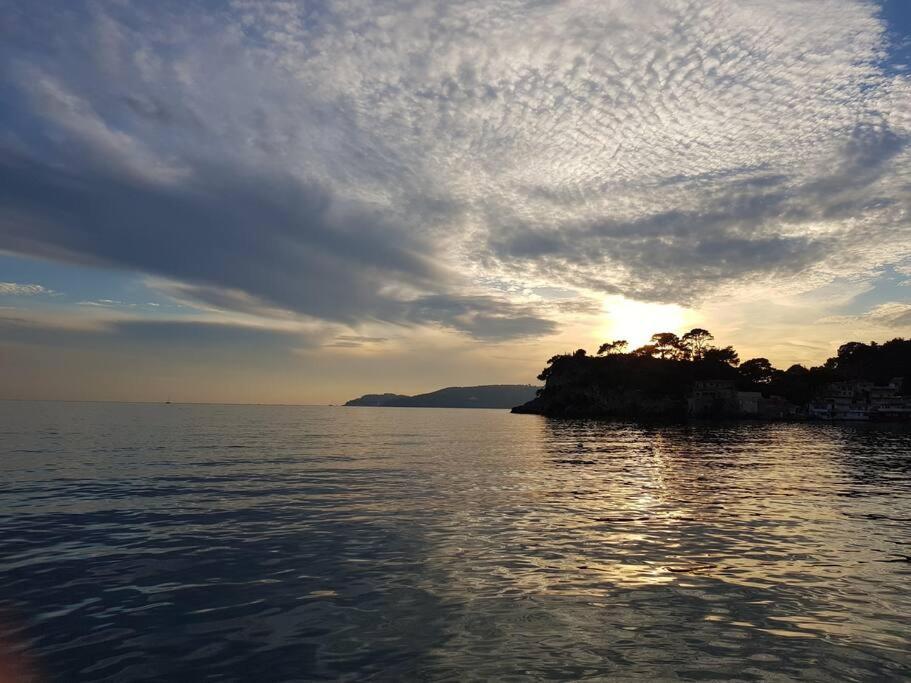 Villa Contemporaine F5 Cote Azur Ollioules Calme Zewnętrze zdjęcie