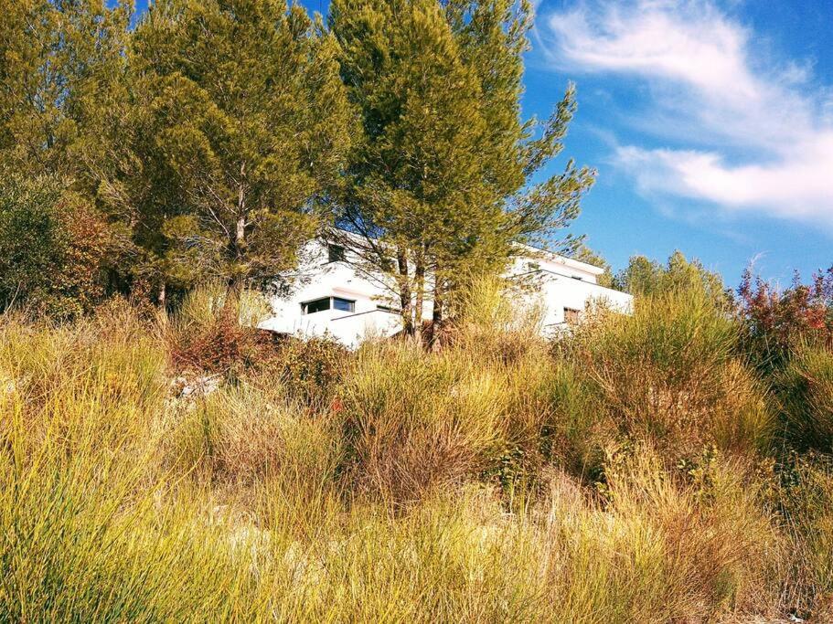 Villa Contemporaine F5 Cote Azur Ollioules Calme Zewnętrze zdjęcie